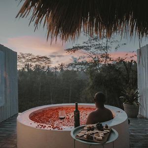 Suite Hot Tub